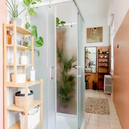 贝拉住宿加早餐旅馆 布拉